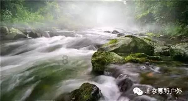 探索冷知识的平台-你工作几年后和刚开始工作对比起来有哪些变化?带你发现新奇世界